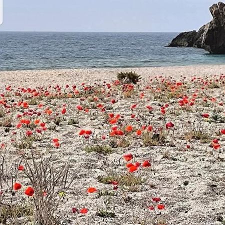The Poppies Guest House - 100M Ocean - Private Spaces كانديلاريا المظهر الخارجي الصورة