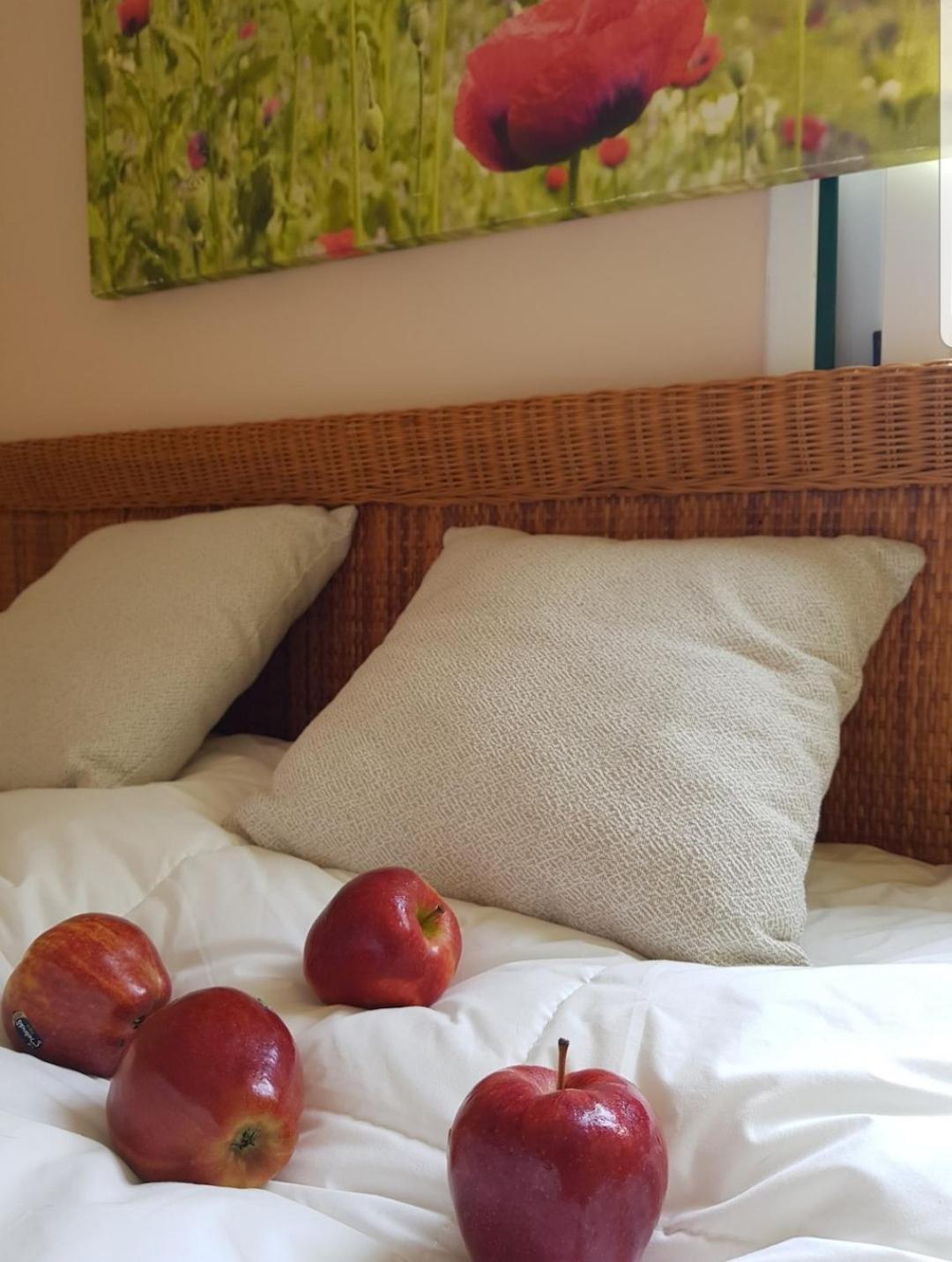 The Poppies Guest House - 100M Ocean - Private Spaces كانديلاريا المظهر الخارجي الصورة